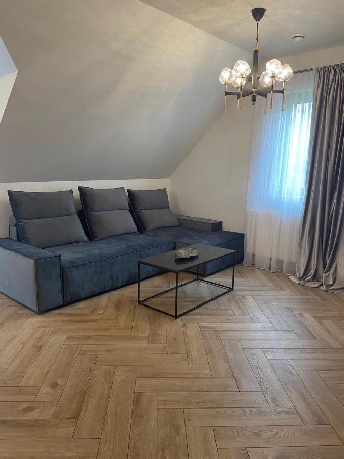 Mazoji Vila Birštonas Exteriér fotografie
